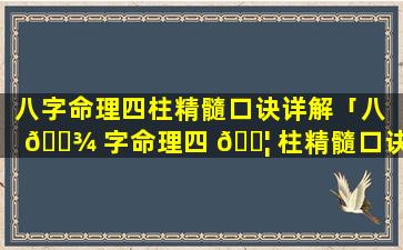 八字命理四柱精髓口诀详解「八 🌾 字命理四 🐦 柱精髓口诀详解视频」